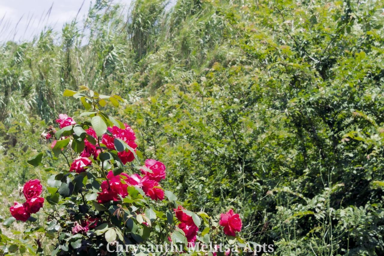Chrysanthi Melitsa Apts. Сидарион Экстерьер фото